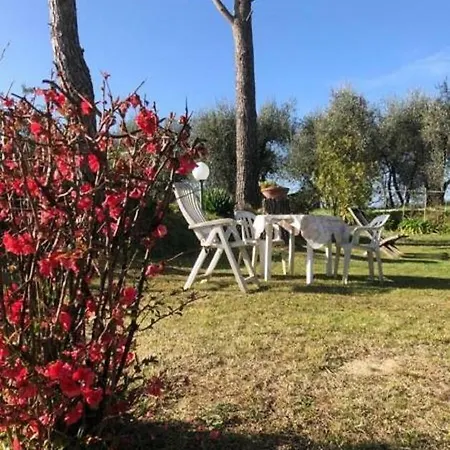 La Chientina